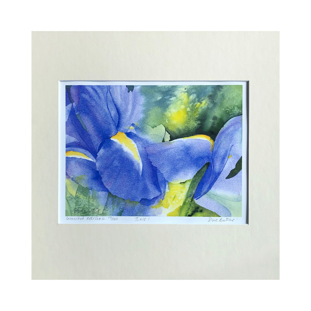 'Iris1' Limited Edition Print By Sue Bates